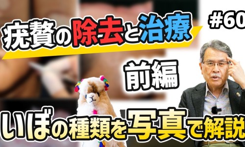 多少心率燃脂效率最高-多少心率 燃烧脂肪网 - 网站提供多少心率 燃烧脂肪会死亡小常识、多少心率燃烧脂肪最好